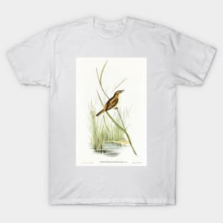 Reed Warbler (Acrocephalus Australis) T-Shirt